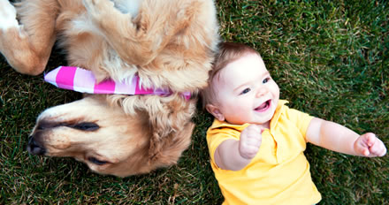 Cuide das emoções dos animais de estimação