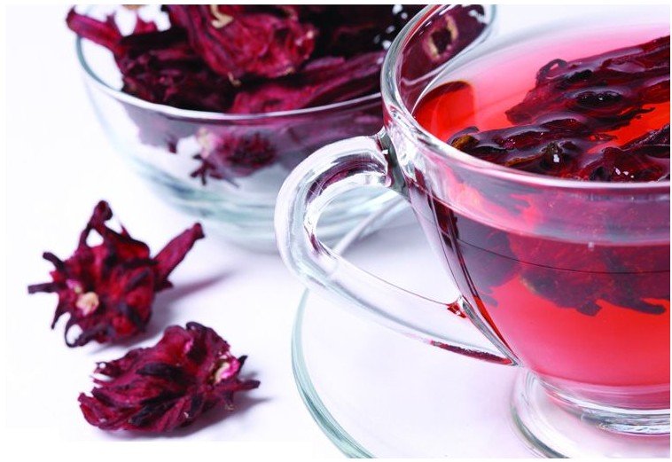 hibisco - cha hibisco - cha