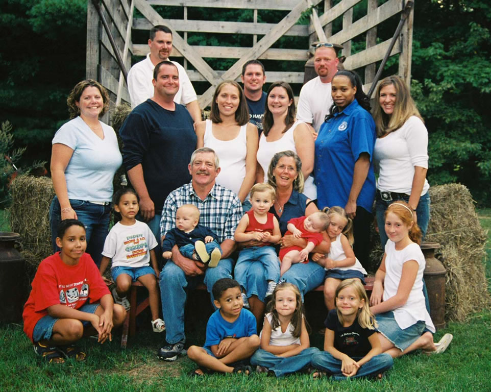 chicory - familia