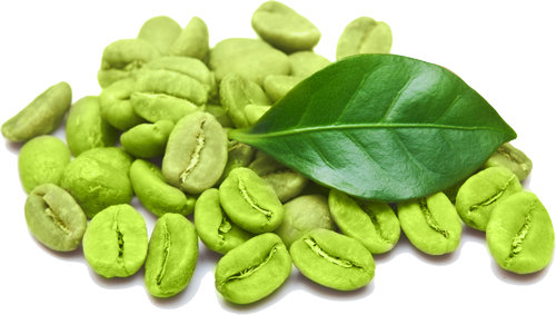 Café verde com função de emagrecer Café verde com função de emagrecer