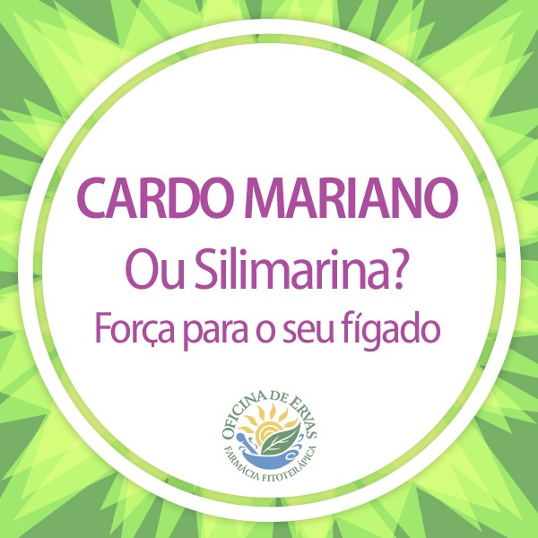 Cardo Mariano ou Silimarina? Fora para o seu fgado