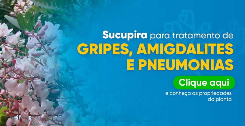 Sucupira para tratamento de Gripes, Amigdalites e Pneumonias. Conhea as propriedades da Sucupira | Farmcia de Manipulao - Oficina de Ervas: Cpsulas, Tinturas, Cosmticos e Essncias.