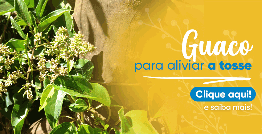 Guaco para aliviar a tosse | Farmcia de Manipulao - Oficina de Ervas: Cpsulas, Tinturas, Cosmticos e Essncias.