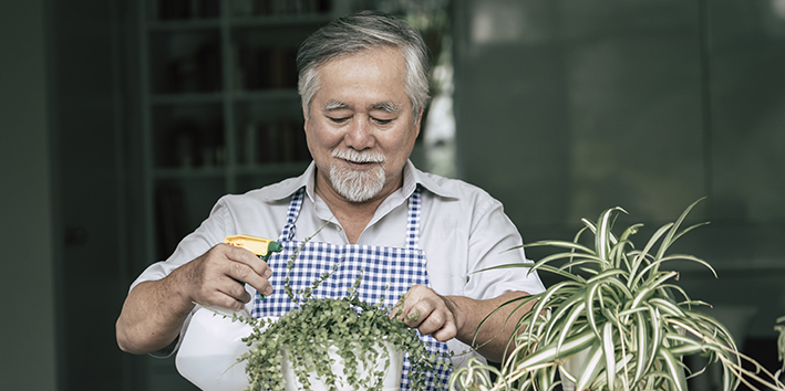 Idoso cuidado de plantas