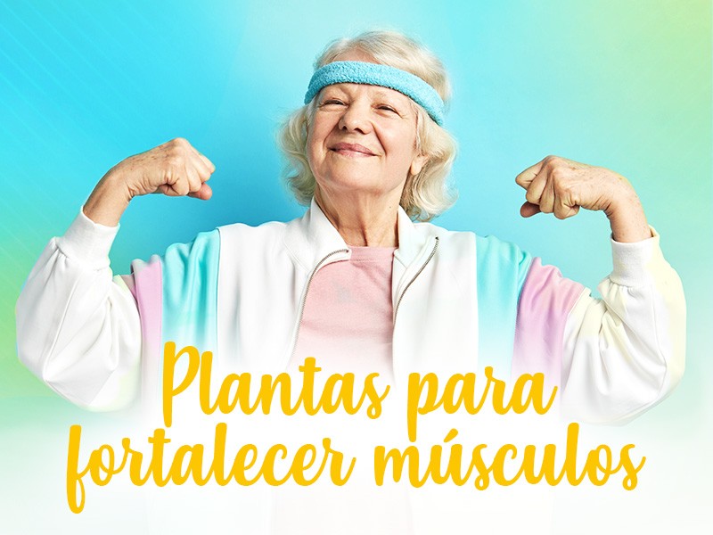 Como fortalecer seus msculos com a ajuda de plantas medicinais