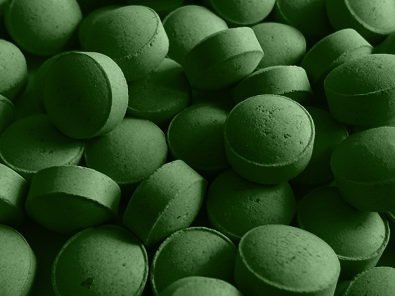 Chlorella