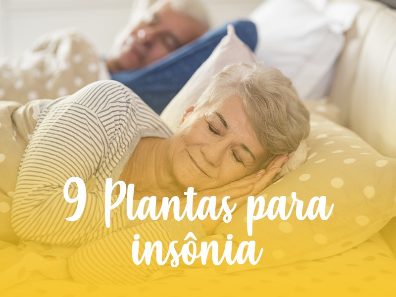 Hora de dormir: Conheça 9 plantas para insônia