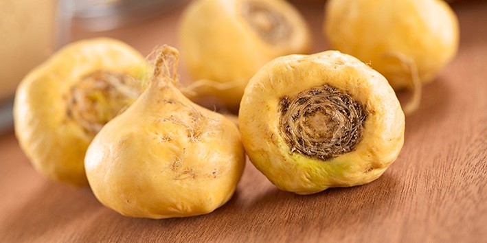 Maca peruana para longevidade Maca peruana para longevidade