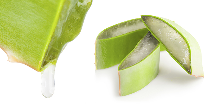 Babosa como usar externamente Babosa como usar externamente