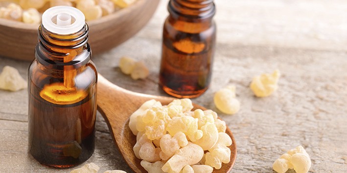 Boswellia serrata oleo de olibano