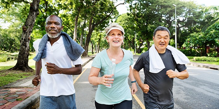 Unha de gato preco onde comprar Unha de gato preco onde comprar