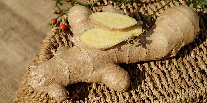 gengibre origem o que e e para que serve gengibre origem o que e e para que serve