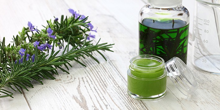 Alecrim tempero indicacao como usar banho Alecrim tempero indicacao como usar banho