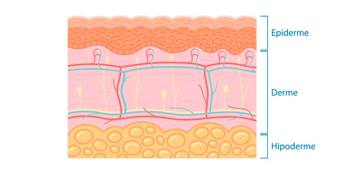 Saude da pele beneficios Saude da pele beneficios