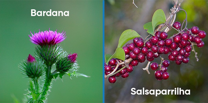 Saude da pele skincare de dentro para fora Saude da pele skincare de dentro para fora