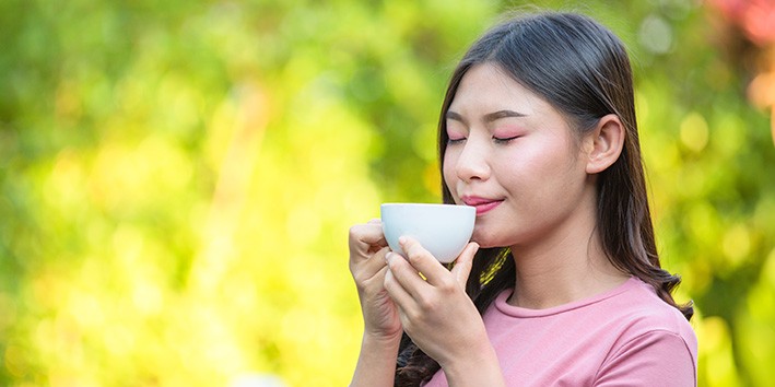 Hibisco dosagem usual uso medicinal