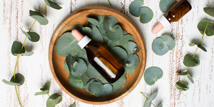 Eucalipto oleo essencial