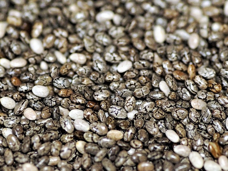 Chia, benefcios desse superalimento para sua sade.