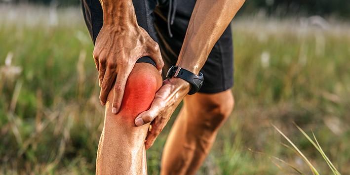 Dilenia para que serve Dilenia para que serve