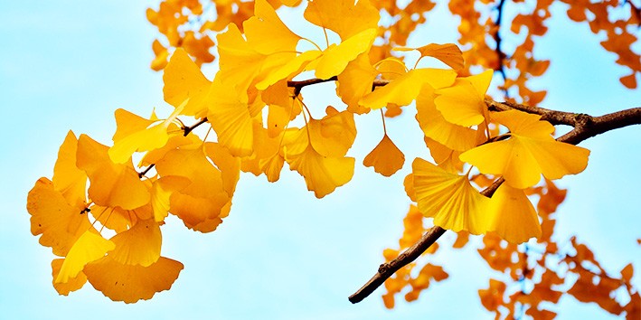 Labirintite tratamento Labirintite tratamento