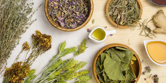 Fitoterapia beneficios