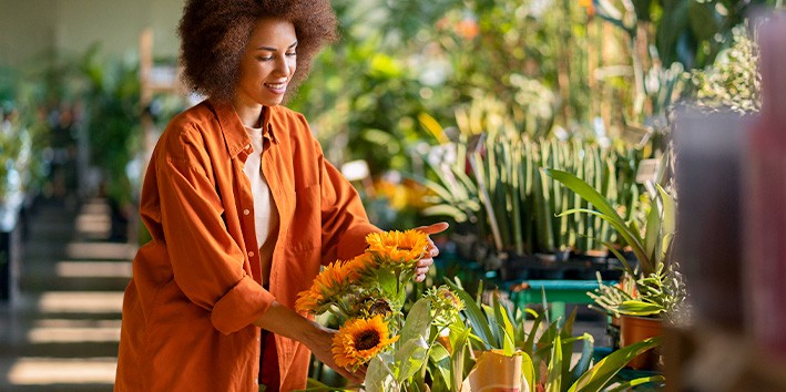 Fitoterapia como surgiu