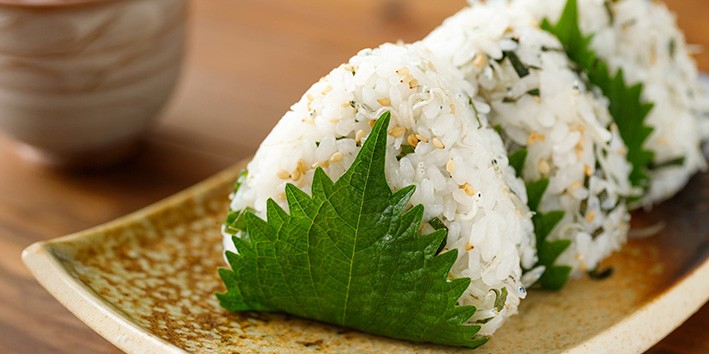 Perilla frutescens o que e nome popular Perilla frutescens o que e nome popular