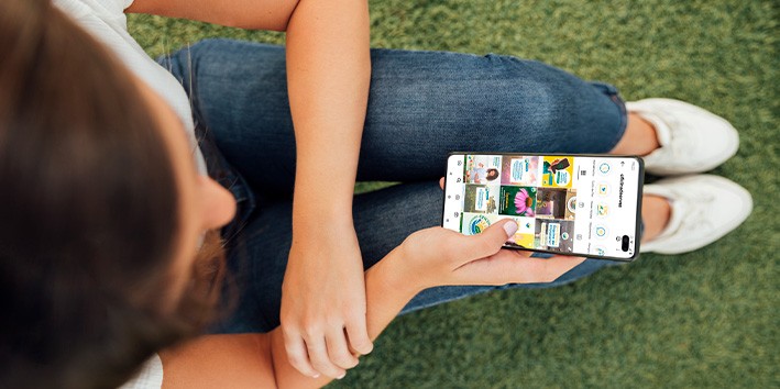 Onde encontrar os melhores fitoterapicos redes sociais