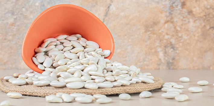 Faseolamina efeitos colaterais contra indicacao dosagem usual como tomar amamentacao gravidez Faseolamina efeitos colaterais contra indicacao dosagem usual como tomar amamentacao gravidez