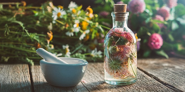 Primeiras plantas medicinais onde comprar