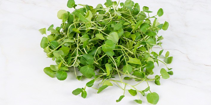 Agriao onde encontrar onde comprar