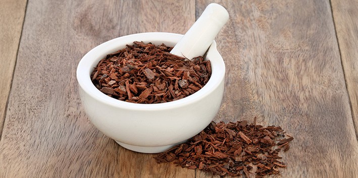 Pygeum africanum beneficios dose