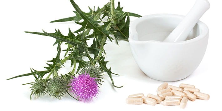 cardo-mariano-efeitos-colaterais-contraindicacoes-modo-de-usar-capsulas-cha-tintura-extrato