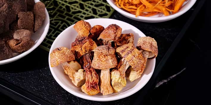 agaricus-blazei-cogumelo-do-sol-origem-alimento