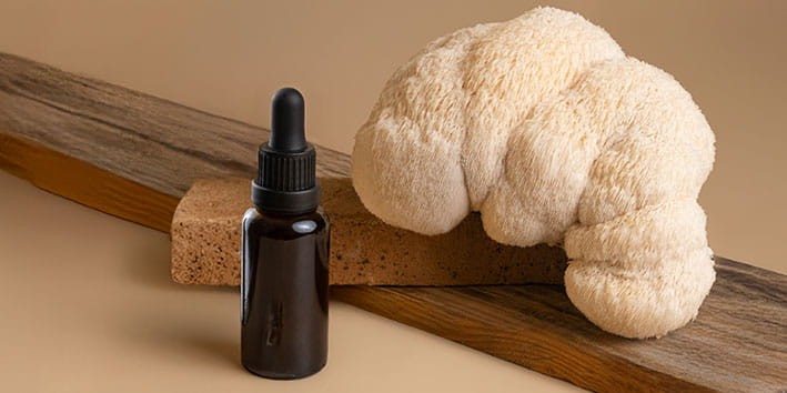 juba-de-leao-dosagem-usual-efeitos-colaterais-contraindicacao