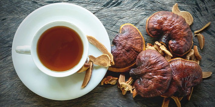 ganoderma-longevidade-infusao-capsula-extrato