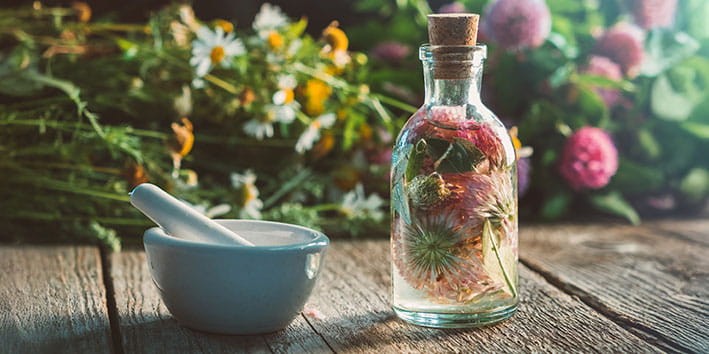 fale-com-fitoterapeuta-plantas-medicinais-fitoterapicos-capsulas-tinturas-xaropes-extratos