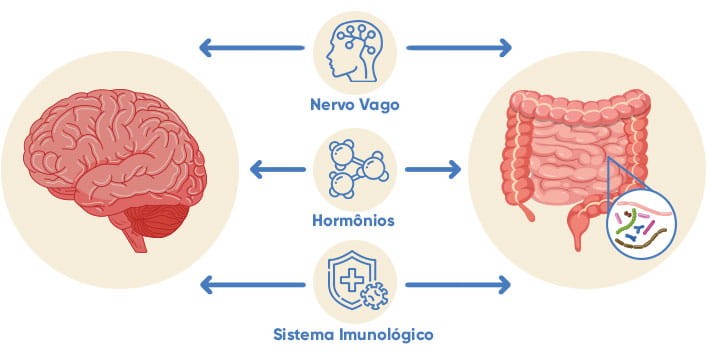 microbiota-intestinal-equilibrio-hormonio-serotonina-ansiedade-humor microbiota-intestinal-equilibrio-hormonio-serotonina-ansiedade-humor