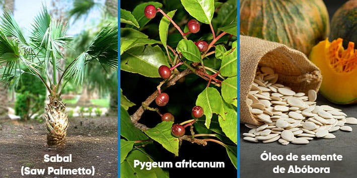 saude-sexual-masculina-prostata-sabal-pygeum-africanum-oleo-de-semente-de-abobora