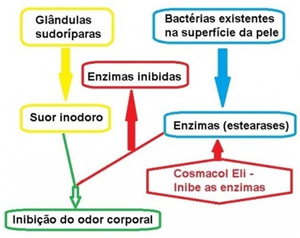 Foto Desodorante de Hamamelis Composto