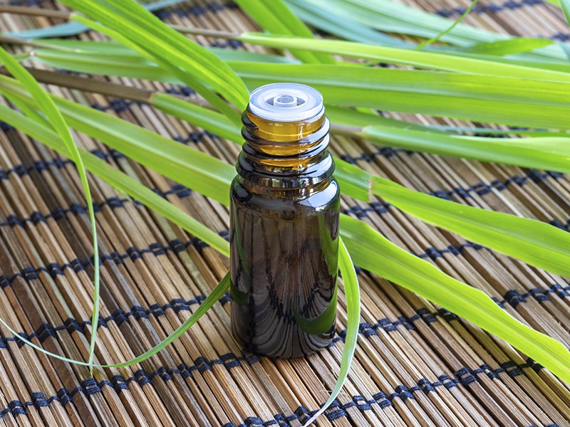 Foto Lemon Grass (óleo essencial)