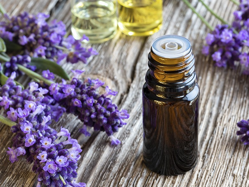Foto Lavanda/Alfazema (óleo essencial)