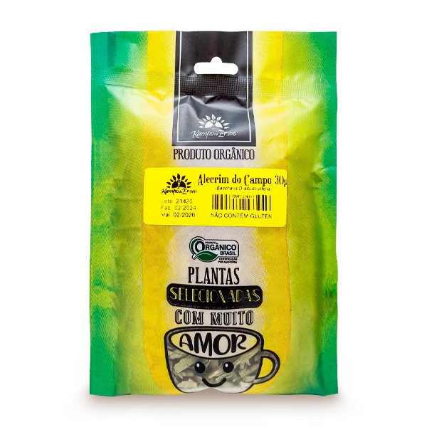 Foto Alecrim do Campo (Baccharis dracunculifolia)